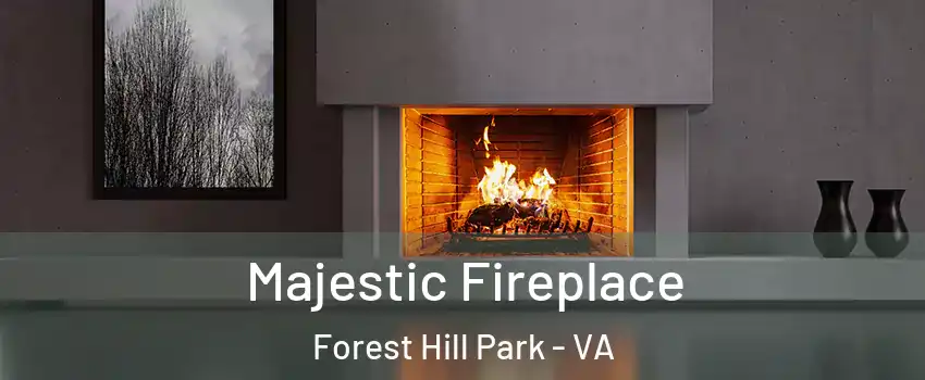 Majestic Fireplace Forest Hill Park - VA