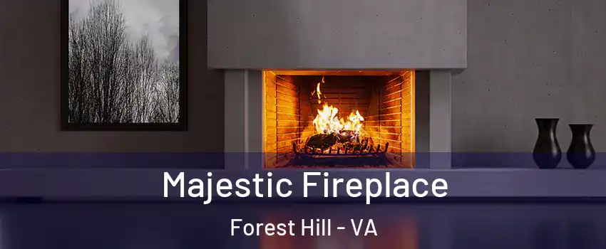 Majestic Fireplace Forest Hill - VA