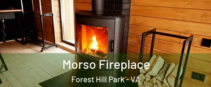 Morso Fireplace Forest Hill Park - VA