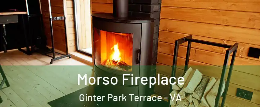 Morso Fireplace Ginter Park Terrace - VA