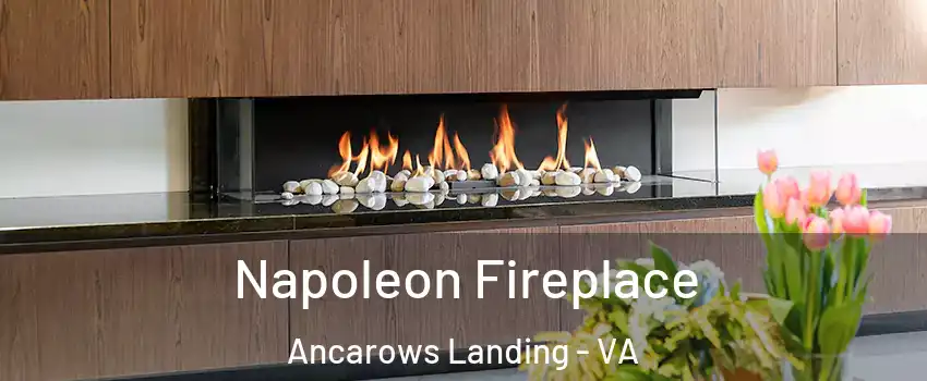 Napoleon Fireplace Ancarows Landing - VA