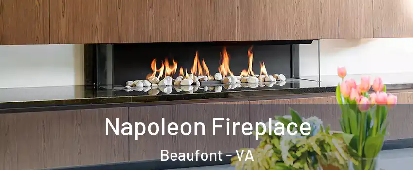 Napoleon Fireplace Beaufont - VA