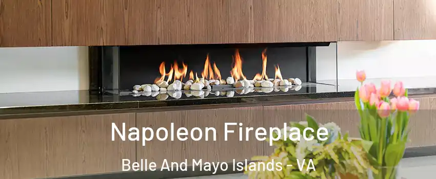 Napoleon Fireplace Belle And Mayo Islands - VA