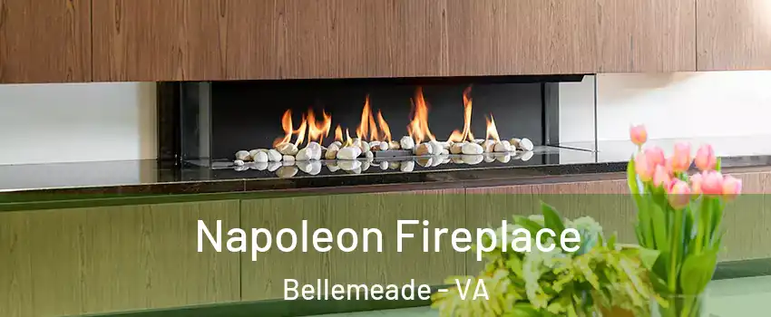 Napoleon Fireplace Bellemeade - VA