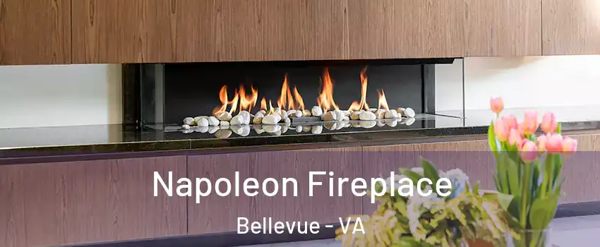 Napoleon Fireplace Bellevue - VA