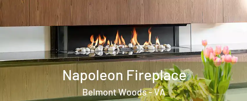 Napoleon Fireplace Belmont Woods - VA