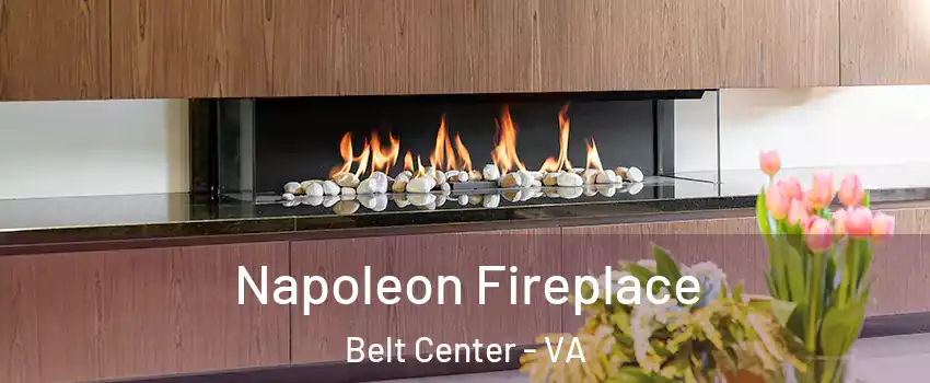 Napoleon Fireplace Belt Center - VA