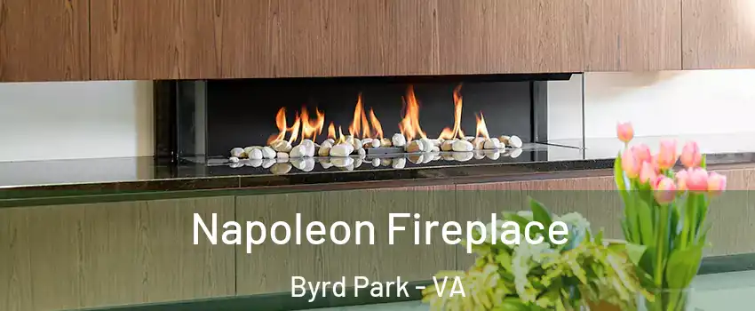 Napoleon Fireplace Byrd Park - VA