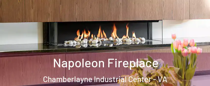 Napoleon Fireplace Chamberlayne Industrial Center - VA