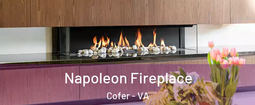 Napoleon Fireplace Cofer - VA