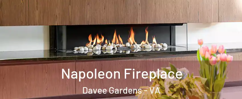 Napoleon Fireplace Davee Gardens - VA