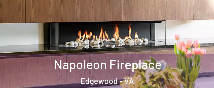 Napoleon Fireplace Edgewood - VA