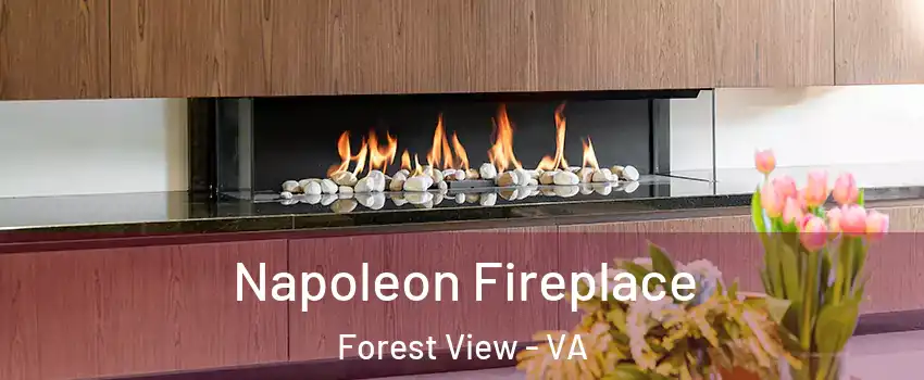 Napoleon Fireplace Forest View - VA