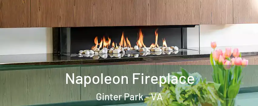 Napoleon Fireplace Ginter Park - VA