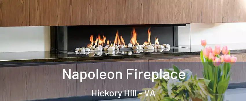 Napoleon Fireplace Hickory Hill - VA