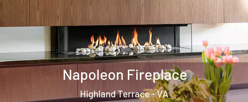 Napoleon Fireplace Highland Terrace - VA