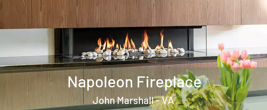 Napoleon Fireplace John Marshall - VA