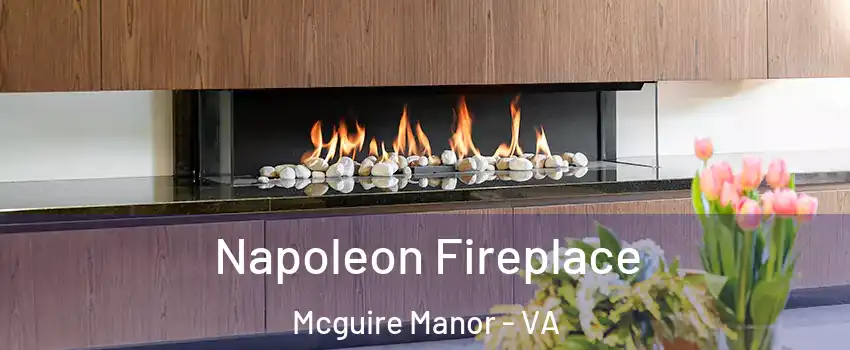 Napoleon Fireplace Mcguire Manor - VA