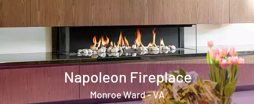 Napoleon Fireplace Monroe Ward - VA