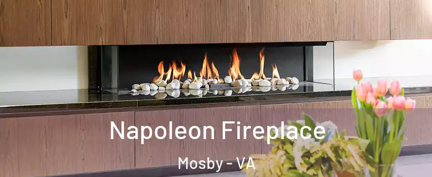 Napoleon Fireplace Mosby - VA