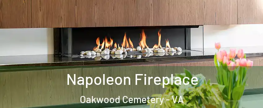 Napoleon Fireplace Oakwood Cemetery - VA