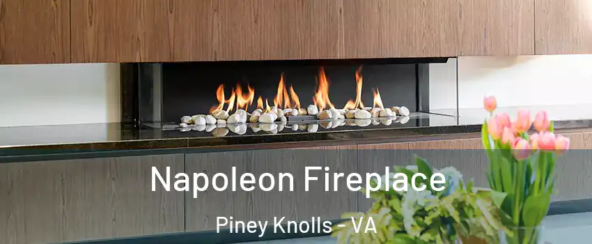 Napoleon Fireplace Piney Knolls - VA