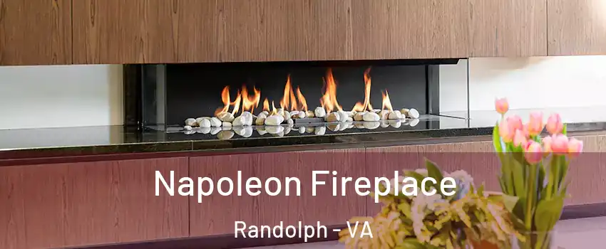 Napoleon Fireplace Randolph - VA