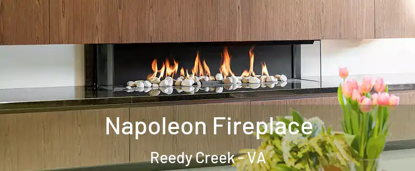 Napoleon Fireplace Reedy Creek - VA