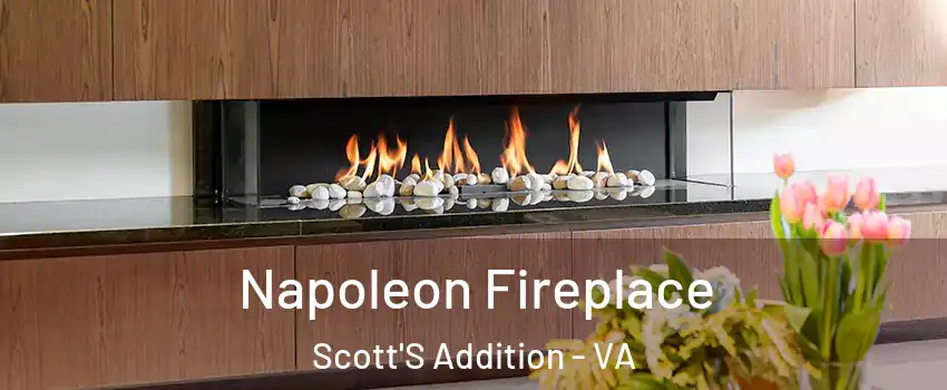 Napoleon Fireplace Scott'S Addition - VA