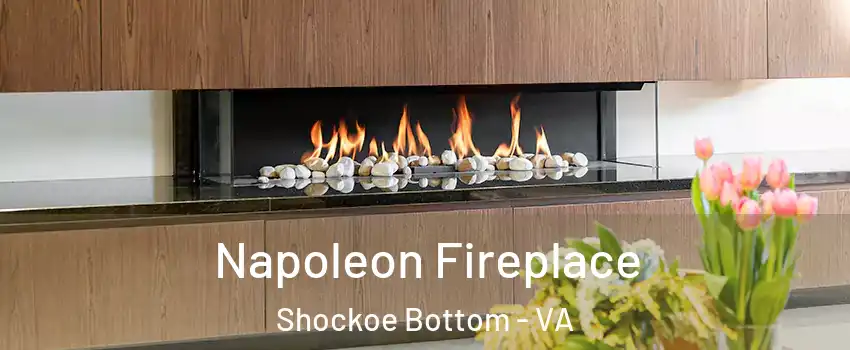 Napoleon Fireplace Shockoe Bottom - VA