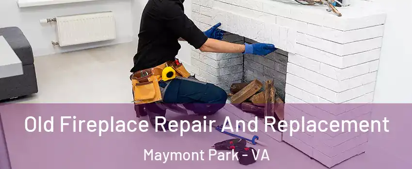 Old Fireplace Repair And Replacement Maymont Park - VA