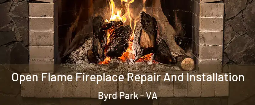 Open Flame Fireplace Repair And Installation Byrd Park - VA