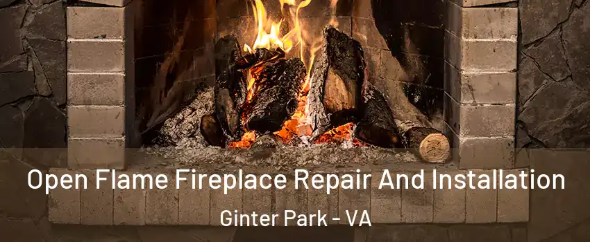 Open Flame Fireplace Repair And Installation Ginter Park - VA