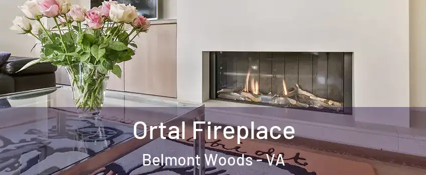 Ortal Fireplace Belmont Woods - VA