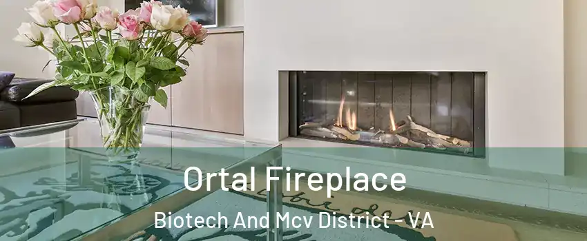 Ortal Fireplace Biotech And Mcv District - VA