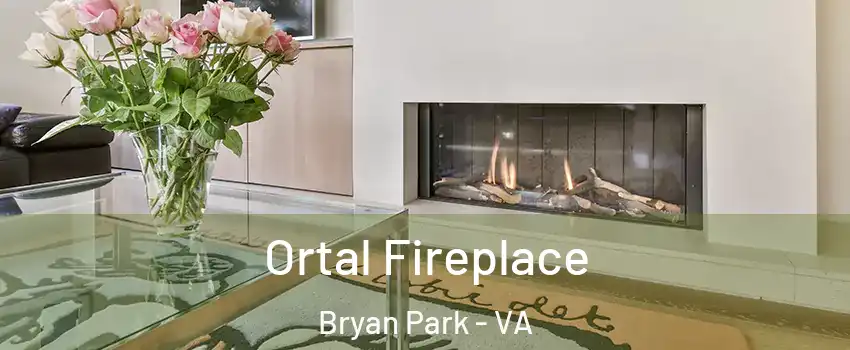 Ortal Fireplace Bryan Park - VA