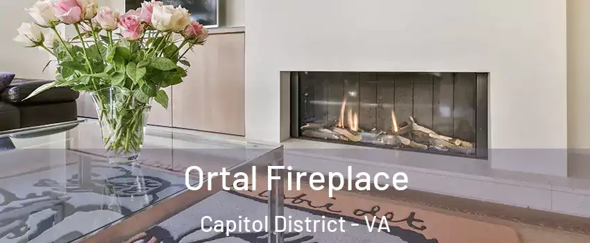 Ortal Fireplace Capitol District - VA