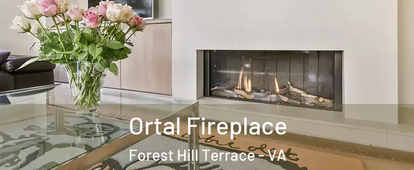 Ortal Fireplace Forest Hill Terrace - VA