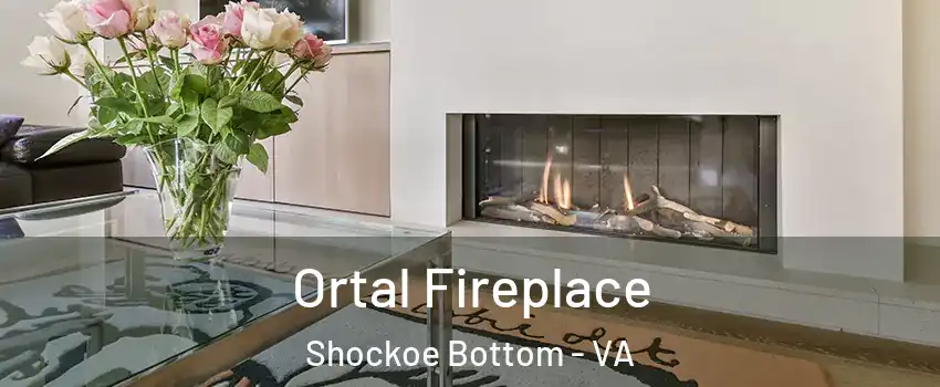 Ortal Fireplace Shockoe Bottom - VA