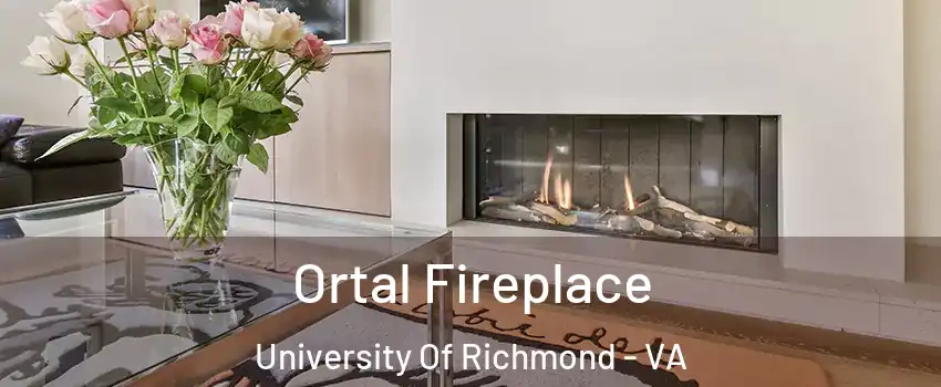 Ortal Fireplace University Of Richmond - VA