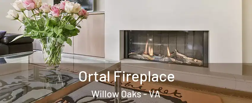 Ortal Fireplace Willow Oaks - VA