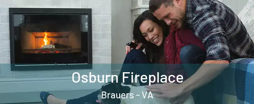 Osburn Fireplace Brauers - VA