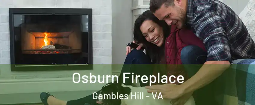 Osburn Fireplace Gambles Hill - VA