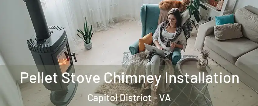 Pellet Stove Chimney Installation Capitol District - VA