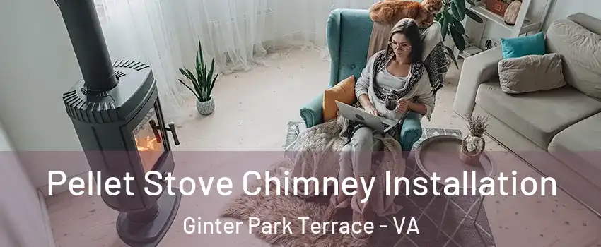 Pellet Stove Chimney Installation Ginter Park Terrace - VA