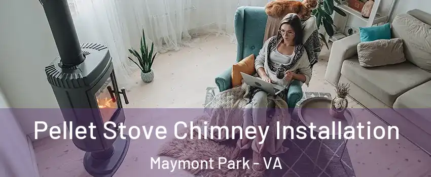 Pellet Stove Chimney Installation Maymont Park - VA