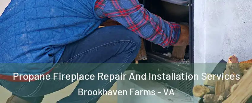 Propane Fireplace Repair And Installation Services Brookhaven Farms - VA