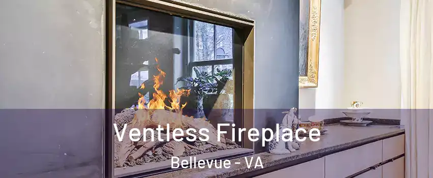 Ventless Fireplace Bellevue - VA