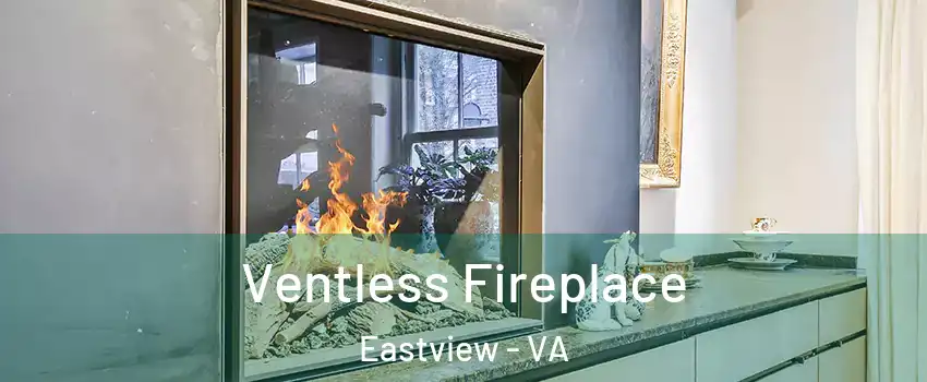 Ventless Fireplace Eastview - VA