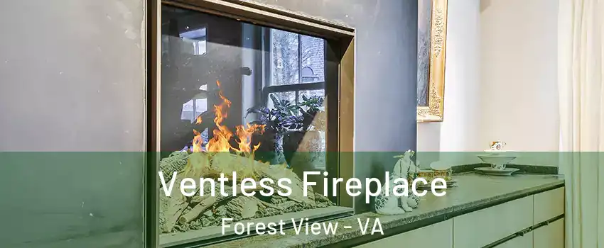 Ventless Fireplace Forest View - VA